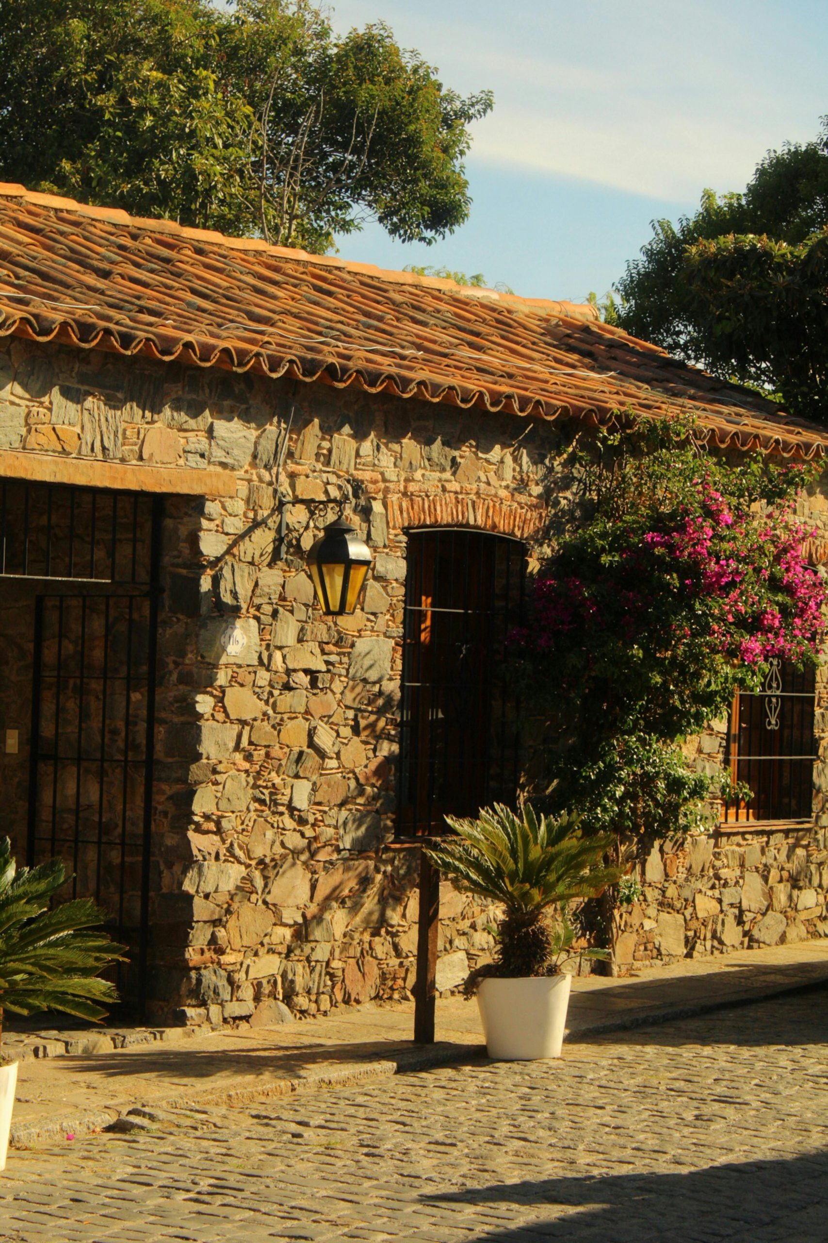 pexels gaspar liddle 77352384 16351731